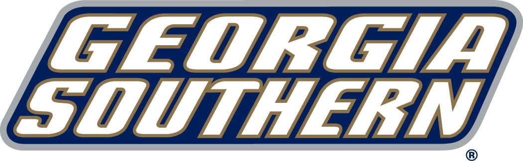 Georgia Southern Eagles 2004-Pres Wordmark Logo v4 diy fabric transfer